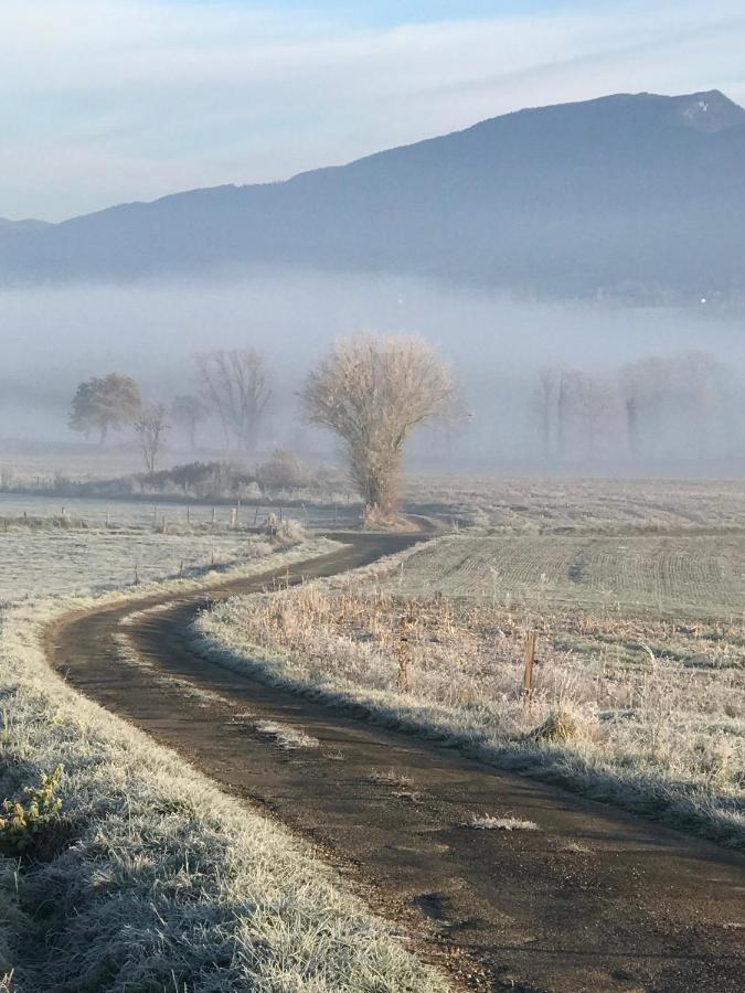 Le Pipapo Daire Saint-Martin-de-Bavel Dış mekan fotoğraf